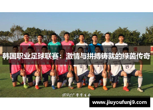 韩国职业足球联赛：激情与拼搏铸就的绿茵传奇